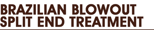 Brazilian Blowout Split End Treatment